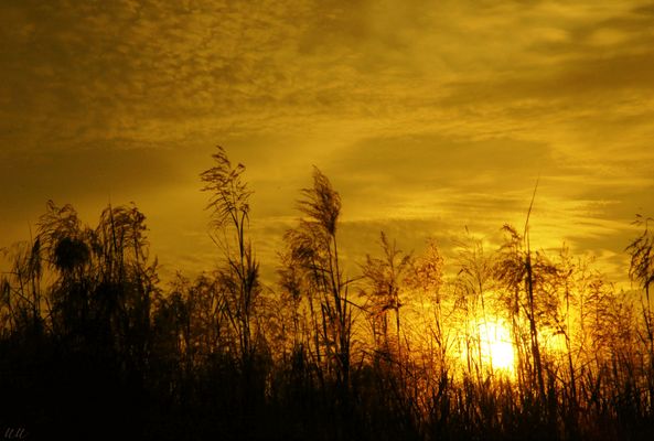 Product picture sunset